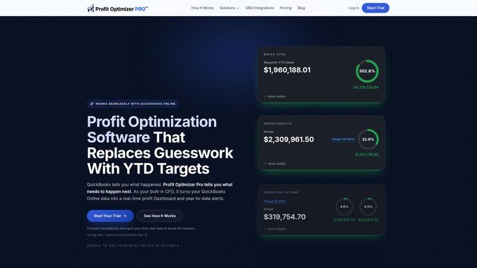 Profit Optimizer Pro website homepage built by AXF Creative